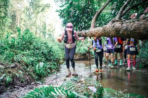 BIB: 
                            <button type="button" onclick="openModal(25478588)" class="btn btn-primary btn-sm float-right btn-popup" data-toggle="modal" data-target=".modal-high-quality">
                        <i class="fas fa-shopping-cart"></i> Add to Cart
                    </button>
                                            <button type="button" onclick="isThisMe(25478588, true)" class="btn btn-success btn-sm float-right btn-popup btn-isme hidden" data-toggle="tooltip" data-placement="bottom" title="นี่คือรูปของคุณใช่ไหม คลิกที่นี่เพื่อเอาเข้าอัลบั้ม">
                        <i class="fas fa-plus"></i> Add to album
                    </button>
                    <button type="button" onclick="isThisMe(25478588, false)" class="btn btn-warning btn-sm float-right btn-popup btn-isnotme hidden">
                        <i class="fas fa-ban"></i> Remove from album
                    </button>